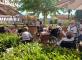 Guinguette party dans le jardin  Résidence Nouvelle Orléans Toulouse